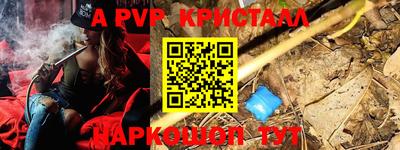 шишки Дубна