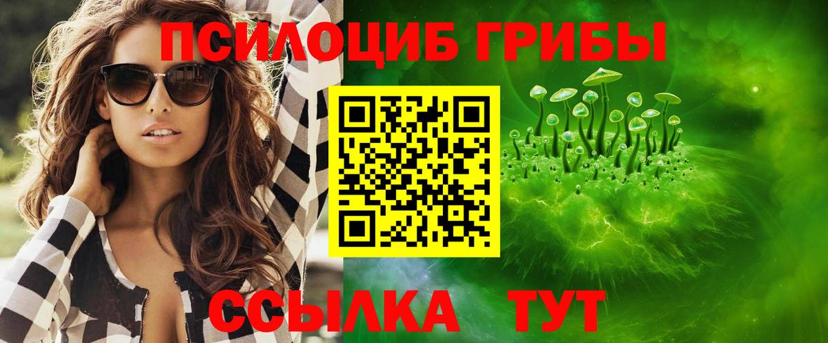 сколько стоит  Псилоцибиновые грибы GOLDEN TEACHER  Вход с VPN  Назарово  Псилоцибиновые грибы Magic Shrooms 